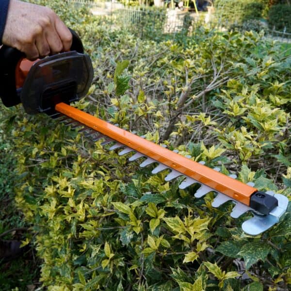 Worx Hedge Trimmer, Trimming the Bushes