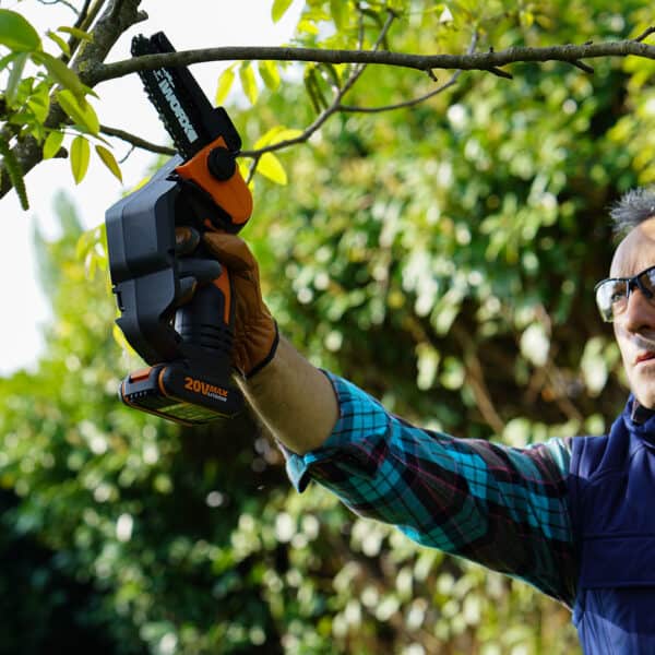 Worx one hand prunning chainsaw, cutting a tree branch WG324E.9