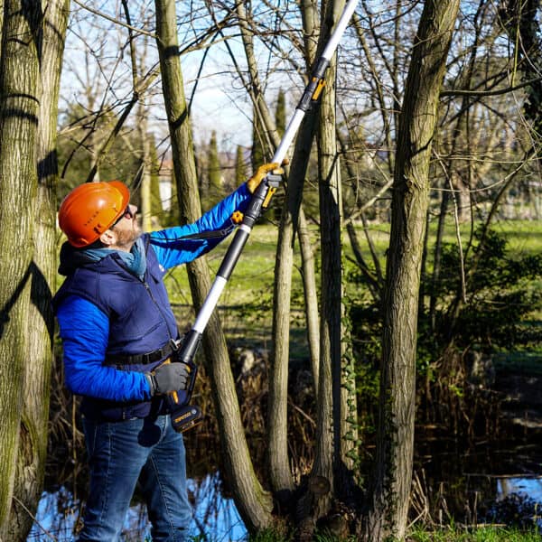 Worx Pole chainsaw , sawing a tree WG349E.9