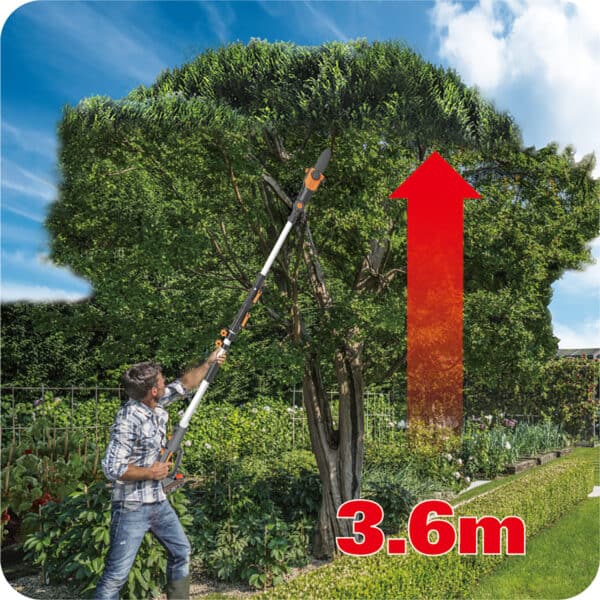 Worx Pole Saw, sawing a tree WG349E.9