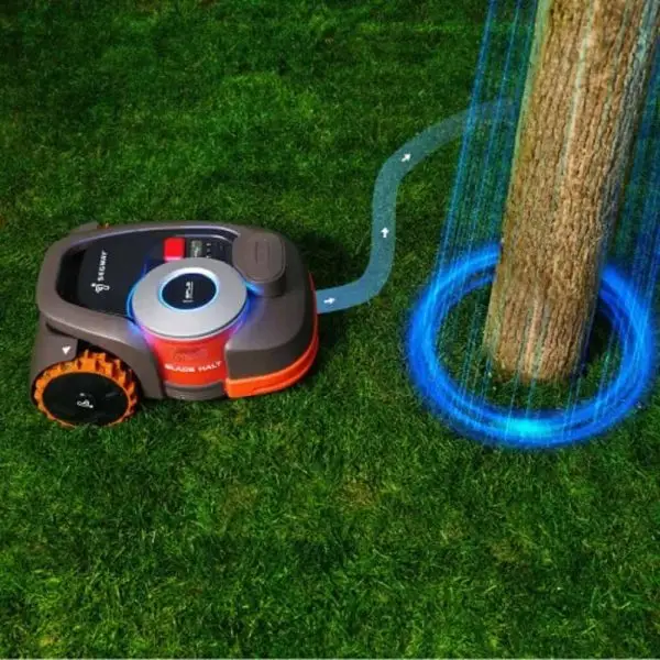 Segway sees tree