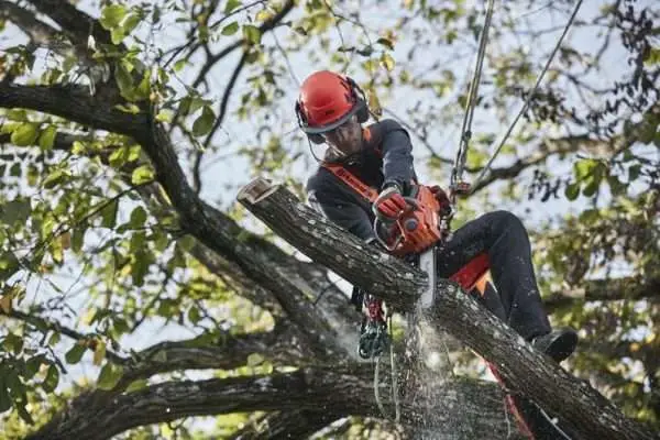 Husqvarna Chainsaw T535i XP
