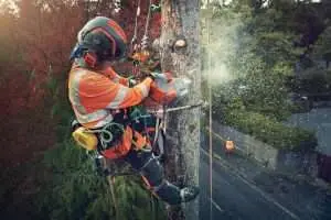 Husqvarna Chainsaw T540i XP