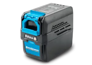 Bushranger 36V 5Ah Battery 36V6500