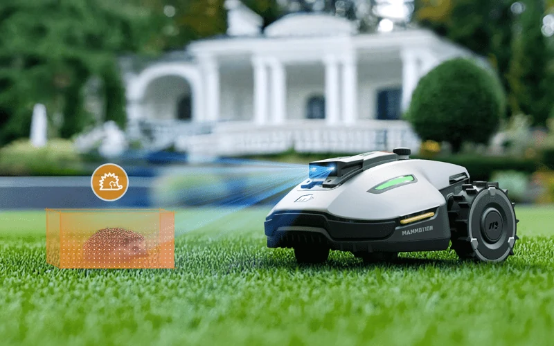 AI Object Identification and Avoidance